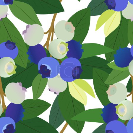 Illustration for Blue berry branch with leaves isolated on white background. Seamless vector pattern. - Royalty Free Image