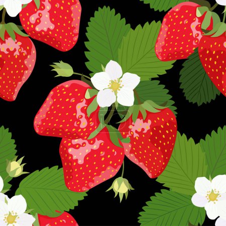 Téléchargez les illustrations : Un buisson de fraises en fleurs avec des baies sur un fond noir. Modèle vectoriel sans couture. - en licence libre de droit