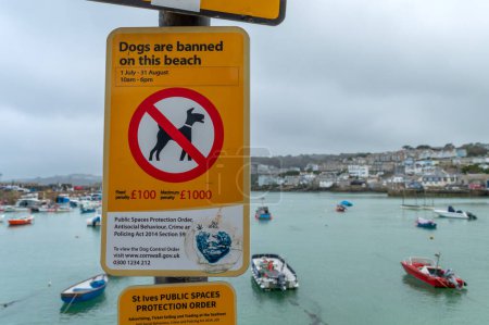 Téléchargez les photos : St Ives.Cornwall. Royaume-Uni 10.01.2023. A pas de chiens autorisés sur le panneau de la plage. - en image libre de droit
