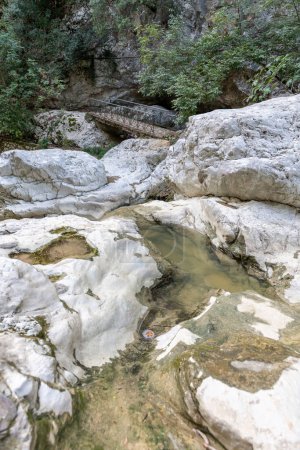 Photo for A walking trail following the river bed leading to a waterfall. Nydri waterfall. Lefkada. Greece. - Royalty Free Image