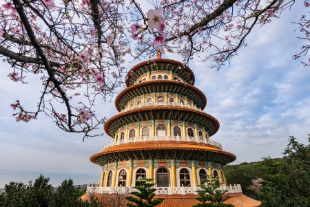 Téléchargez les photos : Concept printemps Fleurs sakura roses au temple Tian Yuan, Taipei, Taiwan - en image libre de droit