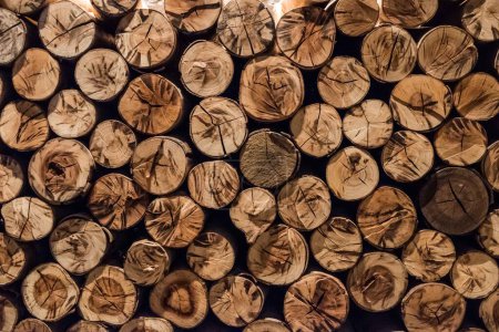 Photo for Background of wood logs, wood stack. In different shape and color - Royalty Free Image