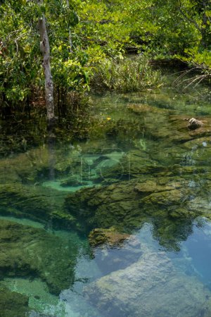 Transparentes Grün und Blau durchströmen die Baumwurzeln und Felsen unter dem Wasser. Thapom Klong Song Nam in Krabi, Thailand