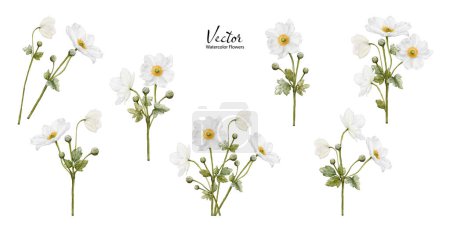Set of Watercolor white flower blooming. Anemones bouquet illustration isolated on white background. Suitable for decorative wedding invitations, save the date, or greeting cards.