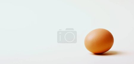 Téléchargez les photos : Chicken Egg on light Background. Single Brown Egg Healthy Eating. Ecological food products. Keto diet products. - en image libre de droit