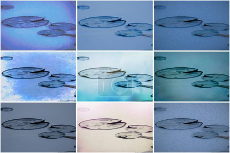 Photo for Beautiful abstract design collage simple lily pads blue green grid pattern for background or backdrop grid. High quality image - Royalty Free Image