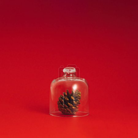 Foto de Un cono de pino bajo la campana de cristal. Fondo rojo Navidad y vacaciones de invierno en un estilo minimalista, espacio de copia. - Imagen libre de derechos