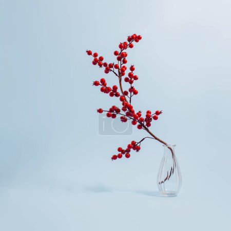 Foto de Composición mínima de las vacaciones de invierno con una rama decorativa de bayas rojas en una botella transparente. Concepto de Navidad y Año Nuevo. - Imagen libre de derechos