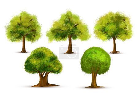 Ilustración de Set of various watercolor trees on white background - Imagen libre de derechos