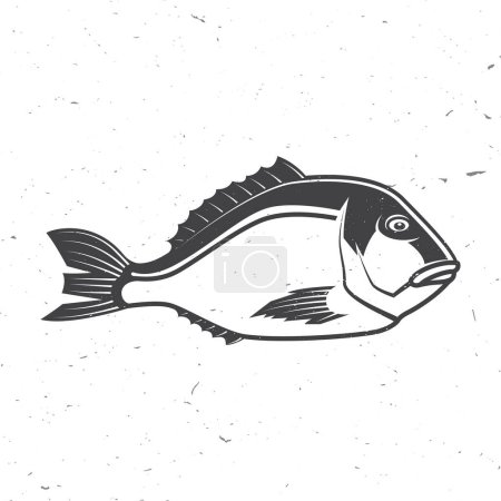 Illustration for Dorade icon silhouette. Vector illustration. Vintage monochrome dorade on white background. Fish. For seafood emblem, sign, patch, shirt, menu restaurants, fish markets, stores, label sticker - Royalty Free Image