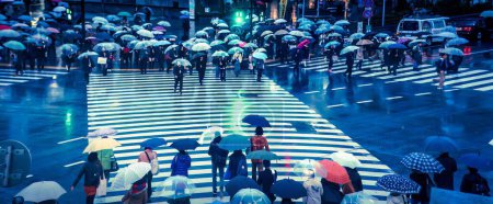 Photo for Tokyo, Japan - November 25, 2012 : The pedestrian crossing and seeing so many people, crowds passing over from one side to the other is magical, it looks like a game. - Royalty Free Image