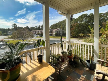 Foto de Monte agradable, estados unidos - 6 de noviembre 2022: vista desde una veranda de una casa típica del sur con helecho - Imagen libre de derechos