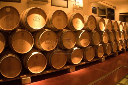 Téléchargez les photos : Montevideo, uruguay - 31 octobre 2022 : le vin repose dans des fûts de chêne en bois dans la cave d'une cave - en image libre de droit