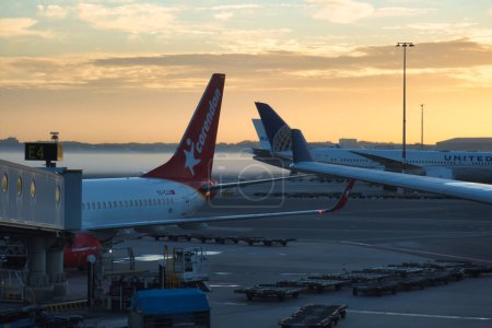 Photo for Amsterdam, netherlands - 18 October 2022: airplanes are docked at gates on the platform of an airport early in the morning with sunset and fog - Royalty Free Image