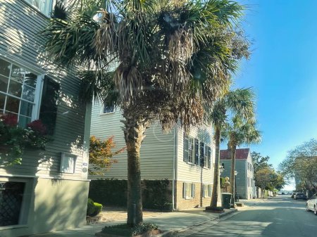 Foto de Charleston, Estados Unidos - 7 de noviembre de 2022: antiguas casas históricas con fachadas coloridas y palmeras alrededor de pequeñas calles en el centro de la ciudad - Imagen libre de derechos