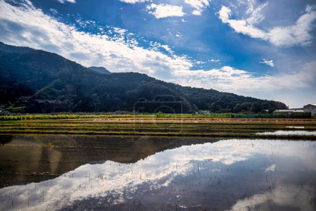Téléchargez les photos : Yamanouchi, Japon - 24 octobre 2017 : le reflet des pentes montagneuses dans l'eau après un typhon près de Nagano - en image libre de droit