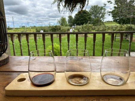 Téléchargez les photos : Port perry, canada - 13 août 2023 : un vol de verres à vin lors de la dégustation dans un domaine viticole à la campagne - en image libre de droit