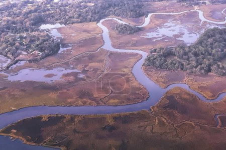Foto de Una vista aérea de la zona residencial de Ashleyville en Charleston con pantano y río - Imagen libre de derechos
