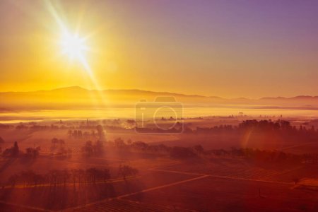 Photo for Napa, United States - February 17 2013 : aerial scenic view over the Napa Valley during a hot air balloon ing ride - Royalty Free Image