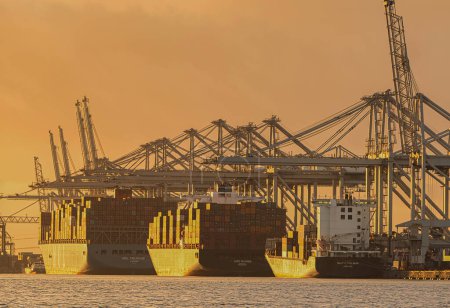 Foto de Rotterdam, Países Bajos - 11 de noviembre de 2021: los contenedores marítimos se descargan de los buques mediante grúas enormes al atardecer - Imagen libre de derechos