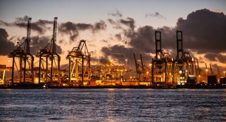 Foto de Rotterdam, Países Bajos - 22 de noviembre de 2021: los contenedores marítimos se descargan de los buques por enormes grúas vistas iluminadas por la noche - Imagen libre de derechos