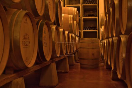 Photo for Montevideo, uruguay - October 31 2022: wine is resting in wooden oak wine barrels in the cellar of a winery - Royalty Free Image