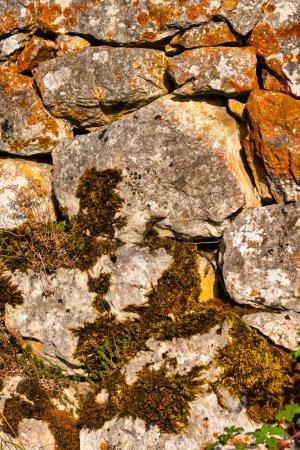 Menthon Saint Bernard, Frankreich - 10. September 2020: eine Nahaufnahme der Steine einer alten historischen Schutzmauer, auf der Moos und Pflanzen wachsen