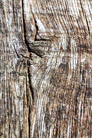 Wassenaar, Netherlands - November 06 2020 : a close up of a plank or board of timber wood with rough rings texture and a knot
