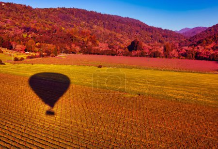 Napa, USA - 17. Februar 2013: eine Luftaufnahme von Weinfeldern in Napa während einer Fahrt mit einem Heißluftballon