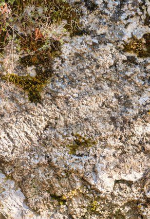 Talloires, France - September 08 2020 : creepy cracks, moss and lichens on historic old errodated walls