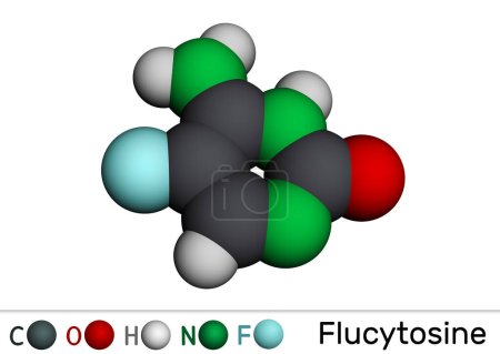 Téléchargez les photos : Flucytosine, 5-fluorocytosine, molécule de 5-FC. C'est un médicament antifongique utilisé pour traiter les infections graves causées par Candida et Cryptococcus. Modèle moléculaire. rendu 3D - en image libre de droit