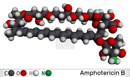 Téléchargez les photos : Molécule d'amphotéricine B. Il est antifongique utilisé pour traiter les infections fongiques. Modèle moléculaire. rendu 3D - en image libre de droit