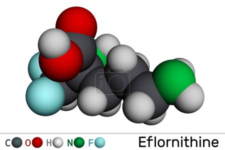 Foto de Molécula de eflornitina. Es un fármaco tripanocida, utilizado en el tratamiento del hirsutismo facial y la tripanosomiasis africana. Modelo molecular. Renderizado 3D - Imagen libre de derechos