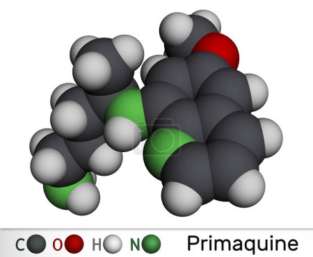 Téléchargez les photos : Molécule de Primaquine. Il s'agit d'aminoquinoléine, utilisée pour le traitement du paludisme. Modèle moléculaire. rendu 3D. Illustration - en image libre de droit