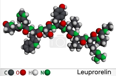 Photo for Leuprorelin, leuprolide molecule. It is drug for treatment of prostate cancer, uterine leiomyomata. Molecular model. 3D rendering. Illustration - Royalty Free Image