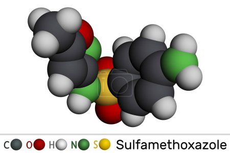 Photo for Sulfamethoxazole, SMZ, SMX molecule. It is sulfonamide antibiotic, used for bacterial infections. Molecular model. 3D rendering. Illustration - Royalty Free Image