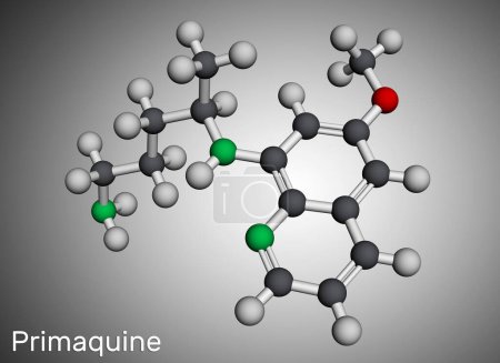 Téléchargez les photos : Molécule de Primaquine. Il s'agit d'aminoquinoléine, utilisée pour le traitement du paludisme. Modèle moléculaire. rendu 3D. Illustration - en image libre de droit