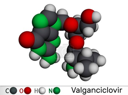 Téléchargez les photos : Molécule de valganciclovir. Il s'agit d'un médicament antiviral utilisé pour traiter le cytomégalovirus, le CMV, l'infection chez les personnes vivant avec le VIH, le sida. Modèle moléculaire. rendu 3D. Illustration - en image libre de droit