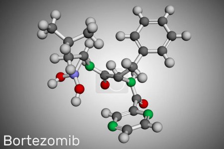 Photo for Bortezomib molecule. It is anticancer medication used to treat multiple myeloma and mantle cell lymphoma. Molecular model. 3D rendering. Illustration - Royalty Free Image