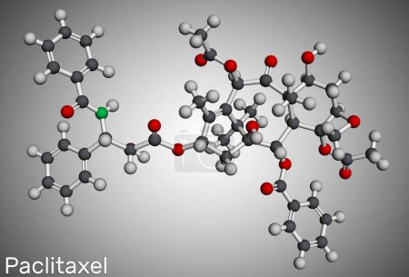 Foto de Paclitaxel, molécula de PTX. Es un agente quimioterapéutico taxoide utilizado para el tratamiento del carcinoma de ovario, mama y cáncer de pulmón. Modelo molecular. Representación 3D. Ilustración - Imagen libre de derechos