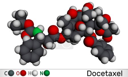 Foto de Docetaxel, DTX o molécula DXL. Es un agente antineoplásico taxoide utilizado en el tratamiento de varios cánceres. Modelo molecular. Representación 3D. Ilustración - Imagen libre de derechos