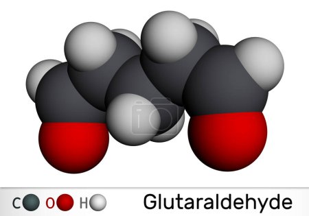 Foto de Glutaraldehído, molécula glutaral. Se utiliza para la industria, laboratorio, agrícola, desinfección de dispositivos médicos. Modelo molecular. Representación 3D. Ilustración - Imagen libre de derechos