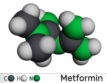 Téléchargez les photos : Molécule de metformine. Il s'agit d'un antihyperglycémiant biguanide utilisé dans la prise en charge du diabète de type II. Modèle moléculaire. rendu 3D. Illustration - en image libre de droit