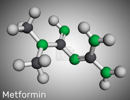 Téléchargez les photos : Molécule de metformine. Il s'agit d'un antihyperglycémiant biguanide utilisé dans la prise en charge du diabète de type II. Modèle moléculaire. rendu 3D. Illustration - en image libre de droit