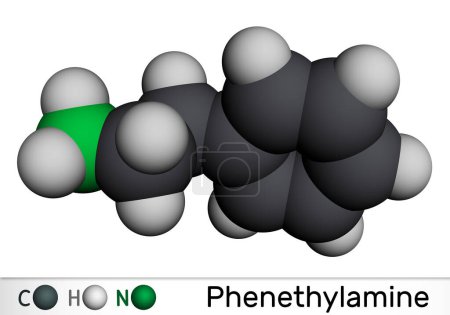 Téléchargez les photos : Phénéthylamine, molécule de PEA. Il est monoamine alcaloïde, stimulant du système nerveux central chez l'homme. Modèle moléculaire. rendu 3D. Illustration - en image libre de droit