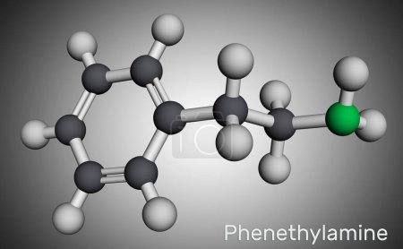 Téléchargez les photos : Phénéthylamine, molécule de PEA. Il est monoamine alcaloïde, stimulant du système nerveux central chez l'homme. Modèle moléculaire. rendu 3D. Illustration - en image libre de droit