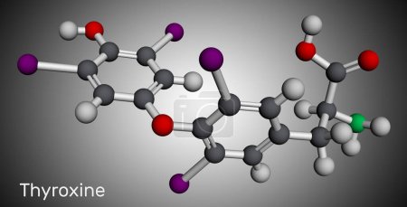 Photo for Thyroxine, T4, levothyroxine molecule. It is thyroid hormone, prohormone of thyronine T3, used to treat hypothyroidism. Molecular model. 3D rendering. Illustration - Royalty Free Image
