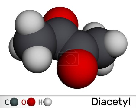 Téléchargez les photos : Diacétyl, molécule de butanedione. Il est présent dans les boissons alcoolisées et est ajouté comme arôme à certains aliments. Modèle moléculaire. rendu 3D. Illustration - en image libre de droit