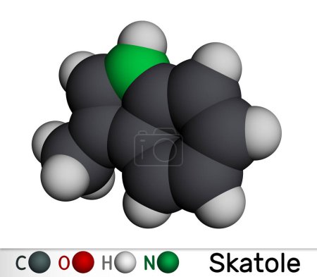 Foto de Skatole, molécula de 3-metilinol. Pertenece a la familia Indole, utilizada como fragancia y fijador en muchos perfumes y como compuesto aromático. Modelo molecular. Representación 3D. Ilustración - Imagen libre de derechos