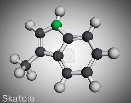 Foto de Skatole, molécula de 3-metilinol. Pertenece a la familia Indole, utilizada como fragancia y fijador en muchos perfumes y como compuesto aromático. Modelo molecular. Representación 3D. Ilustración - Imagen libre de derechos